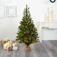 5ft. Pre-Lit Fraser Fir Artificial Christmas Tree, Clear LED Lights