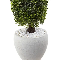 3.5ft. Boxwood Topiary in Textured White Planter