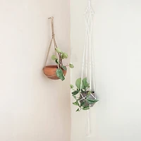 Hello Honey® 57" Natural Cotton Macrame Plant Hanger