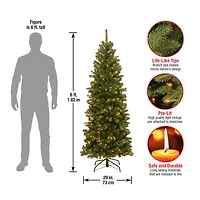 6ft. Pre-Lit North Valley® Spruce Artificial Christmas Tree, Clear Lights