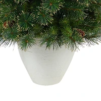 4ft. Pre-Lit Golden Tip Washington Pine with Pinecones Artificial Christmas Tree In White Planter, Clear Lights