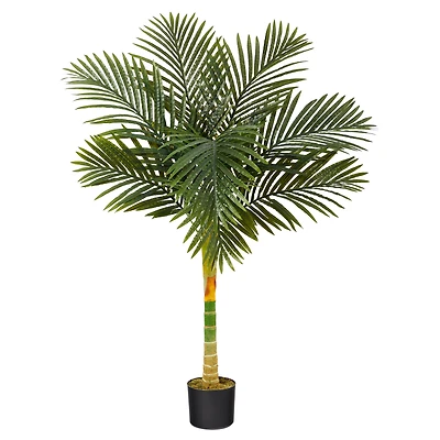 4ft. Potted Golden Cane Palm Tree