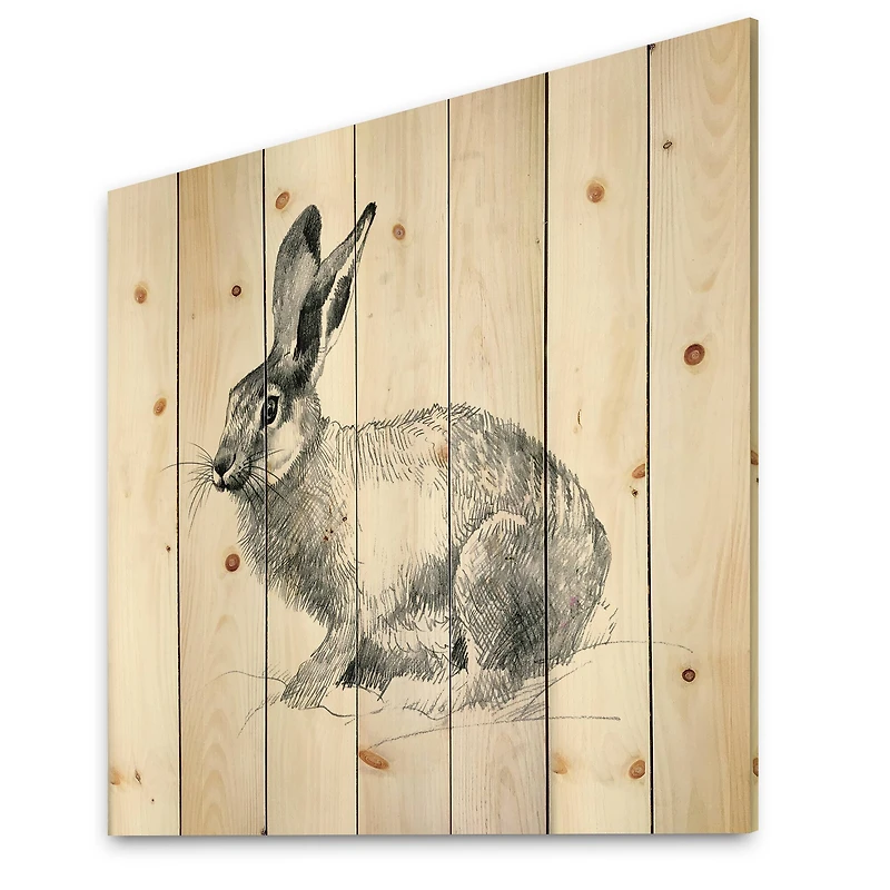 Designart - Monochrome Portrait Of Rabbit