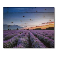 Designart - Sunrise & Dramatic Clouds Over Lavender Field I