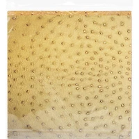 Ella & Viv Collection Kit 12"X12"-Animal Kingdom