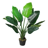 3.5ft. Potted Green Artificial Bird of Paradise Plant