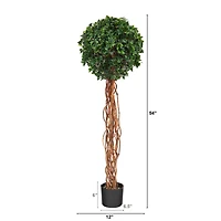 4.5ft. Potted English Ivy Ball Topiary Tree