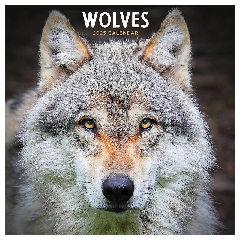 TF Publishing 2025 Wolves Wall Calendar