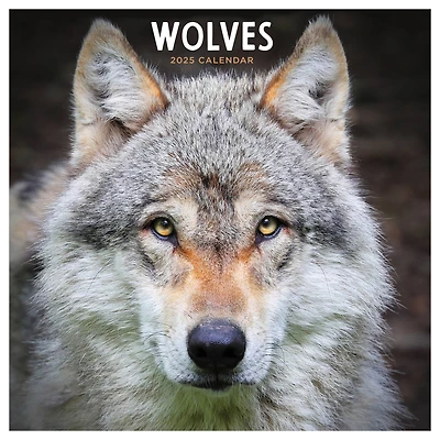 TF Publishing 2025 Wolves Wall Calendar