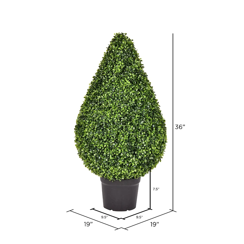 3ft. Potted Boxwood Teardrop Shaped Bush