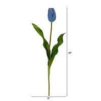 Blue Dutch Tulip Stem, 12ct.