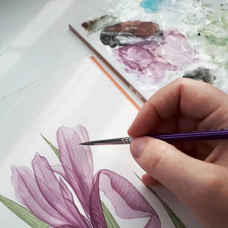 Silver Brush Limited Silver Silk 88® 6 Piece Creative Brush Set