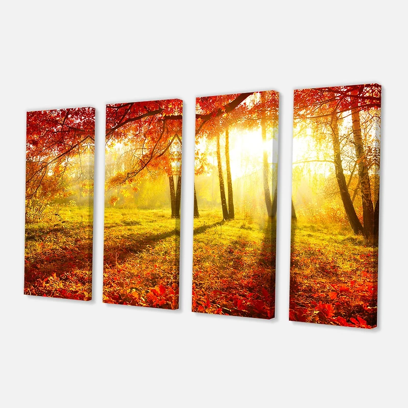 Designart - Yellow Red Fall Trees and Leaves