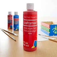 8oz. Acrylic Paint by Craft Smart