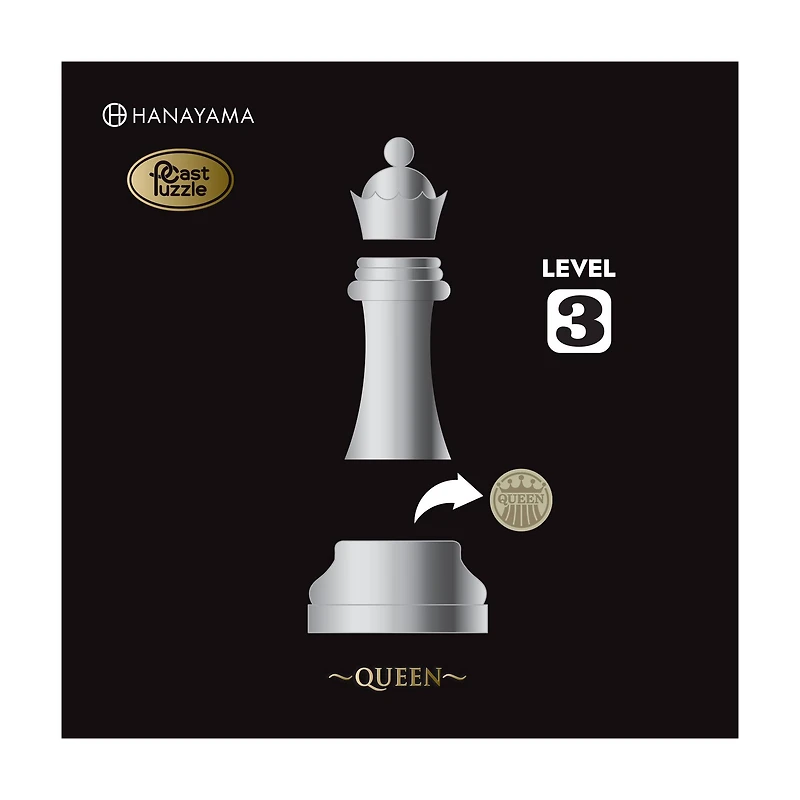 Hanayama Level 3 Cast Chess Puzzle