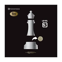 Hanayama Level 3 Cast Chess Puzzle