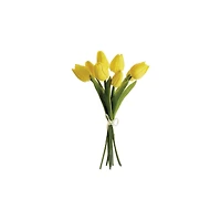 Soft Touch Yellow Tulip Bundle