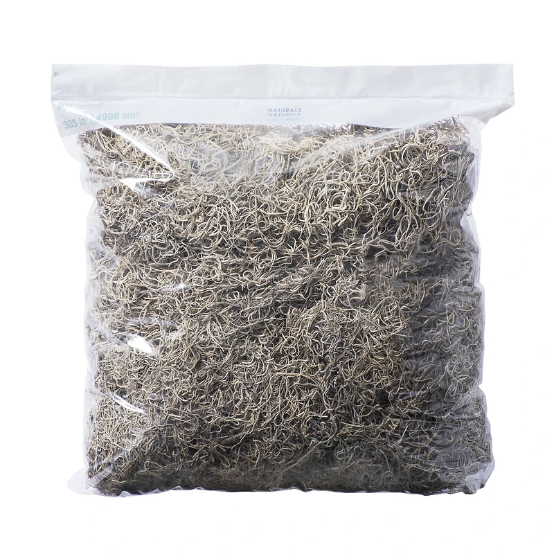 16 Pack: Natural Spanish Moss by Ashland®