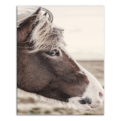 Horse Pondering 16" x 20" Canvas Wall Art