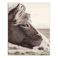 Horse Pondering 16" x 20" Canvas Wall Art