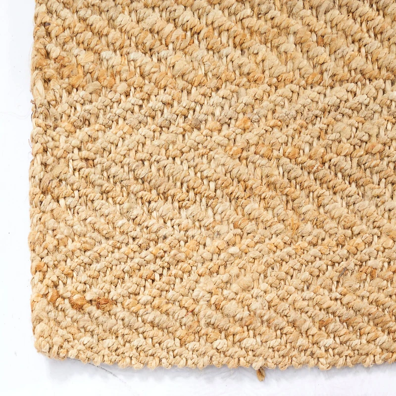 Brown Jute Coastal Area Rug