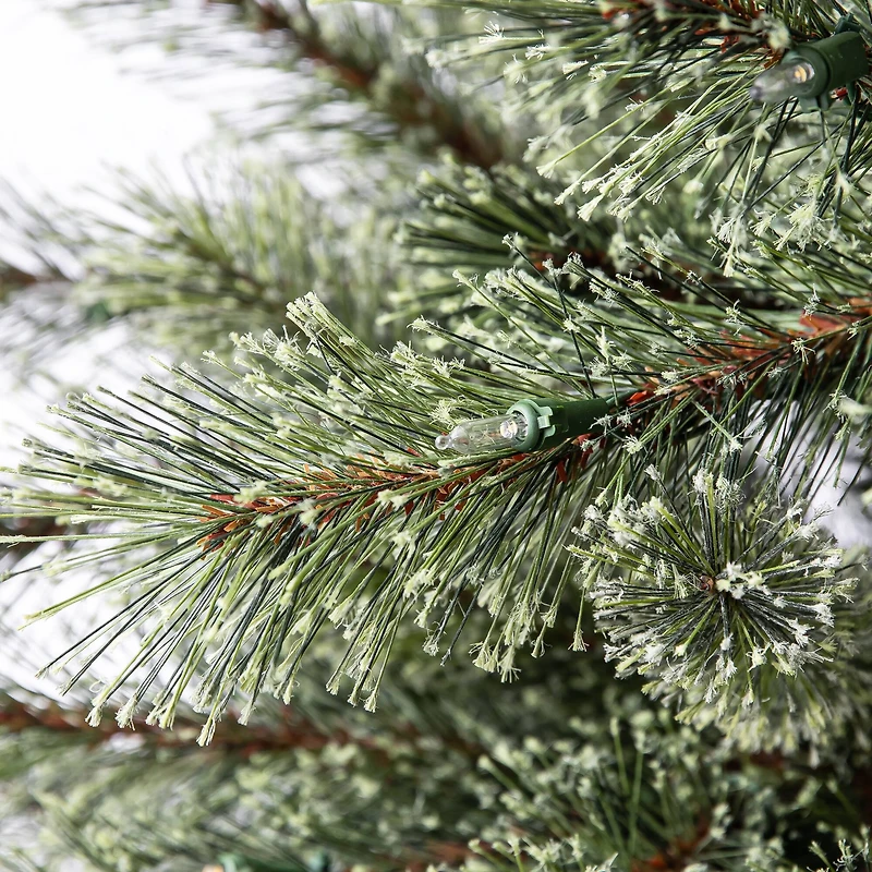 5ft. Pre-Lit Bowen Pine Artificial Christmas Tree, Warm White LED Lights by Ashland®