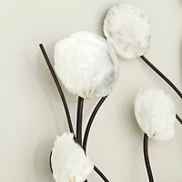 White Coastal Shell Arrangement Wall Accent