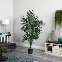 6ft. Potted Kentia Palm Silk Tree