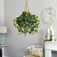 2ft. Pothos In Hanging Basket