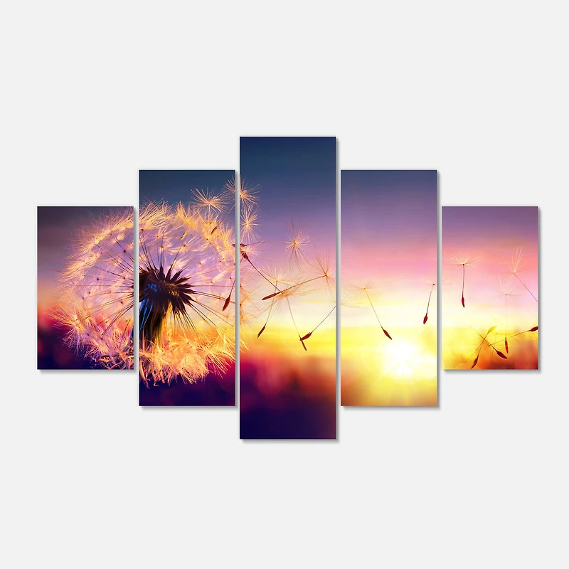 Designart - Dandelion at Sunset Freedom to Wish - Contemporary Wall Art Canvas