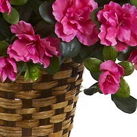 2.5ft. Pink Azalea Flowering Hanging Basket