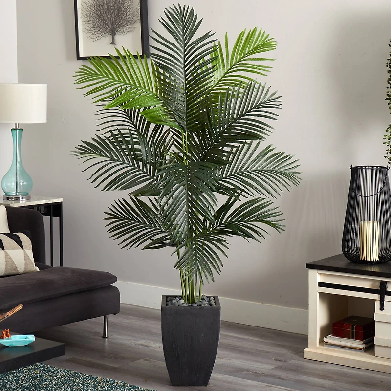 5.5ft. Paradise Artificial Palm Tree in Black Planter