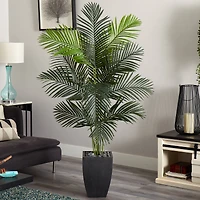 5.5ft. Paradise Artificial Palm Tree in Black Planter
