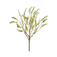 Mini Eucalyptus Bush