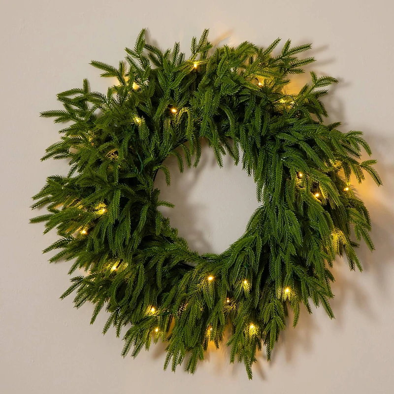 20in. Pre-Lit Artificial Real Touch Norfolk Island Pine Wreath with 35 Warm White LED Lights and Natural Look
