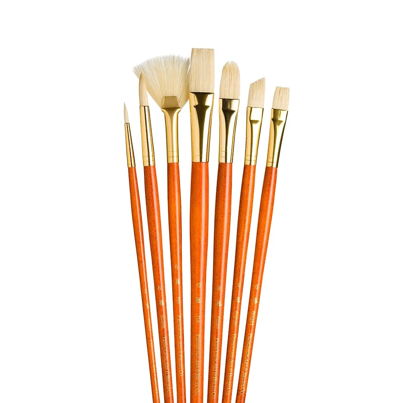 Princeton™ RealValue™ Bristle Brush Set