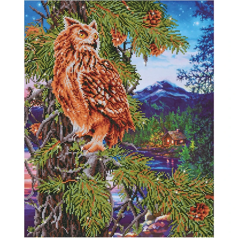 Diamond Dotz® Twilight Wisdom Diamond Painting Kit