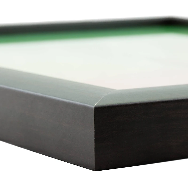 Craig Frames Contemporary Brazilian Walnut Picture Frame with Mat