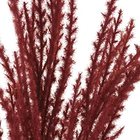 31" Burgundy Pampas Grass Stem by Ashland®