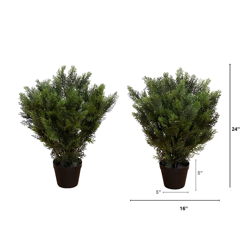 2ft. Potted UV Resistant Cedar Bushes, 2ct.