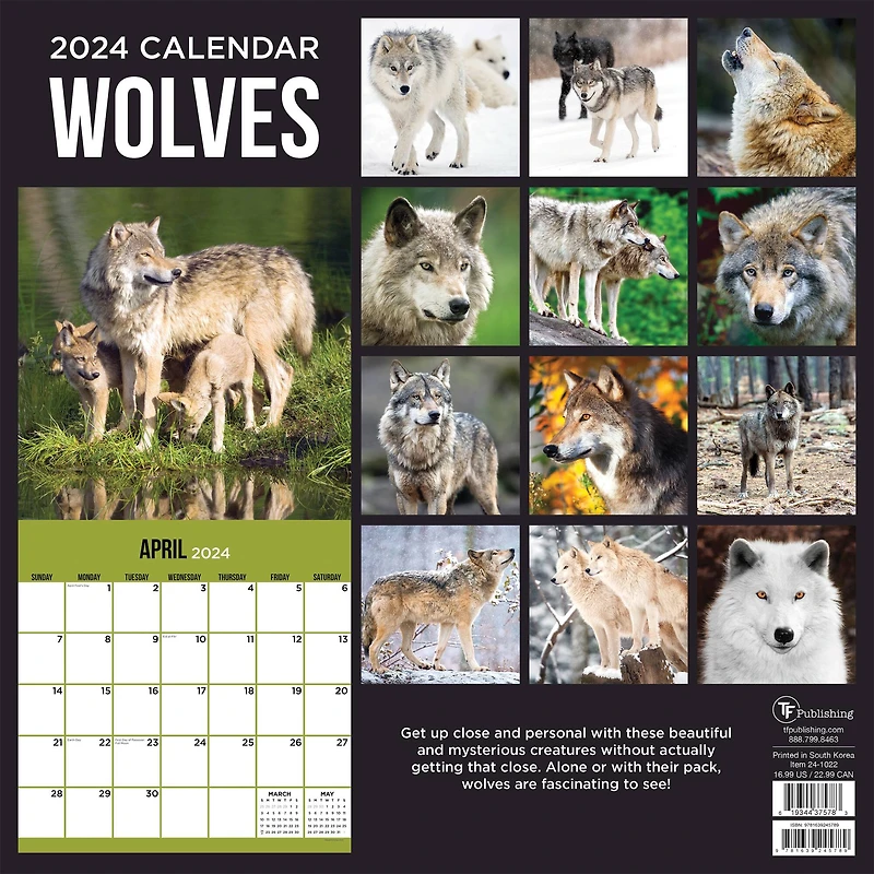 TF Publishing Wolves Wall Calendar