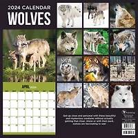 TF Publishing Wolves Wall Calendar