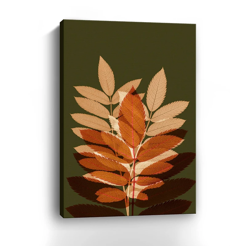 Fall Leaves 4 Canvas Giclee