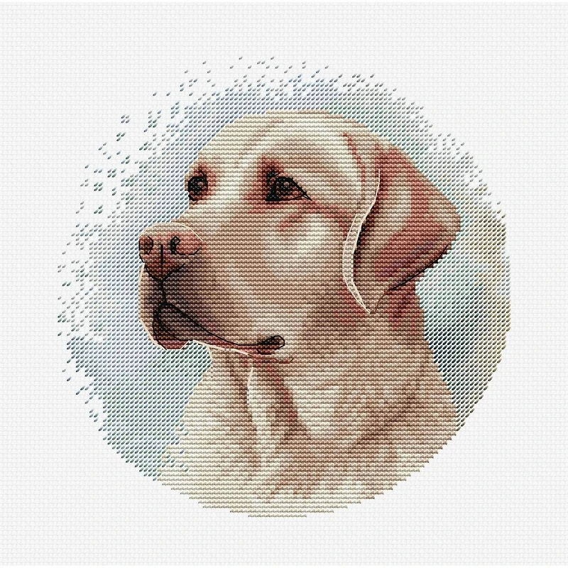 Luca-S Labrador Counted Cross Stitch Kit with Display Hoop