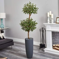 6ft. Double Olive Tree in Gray Planter