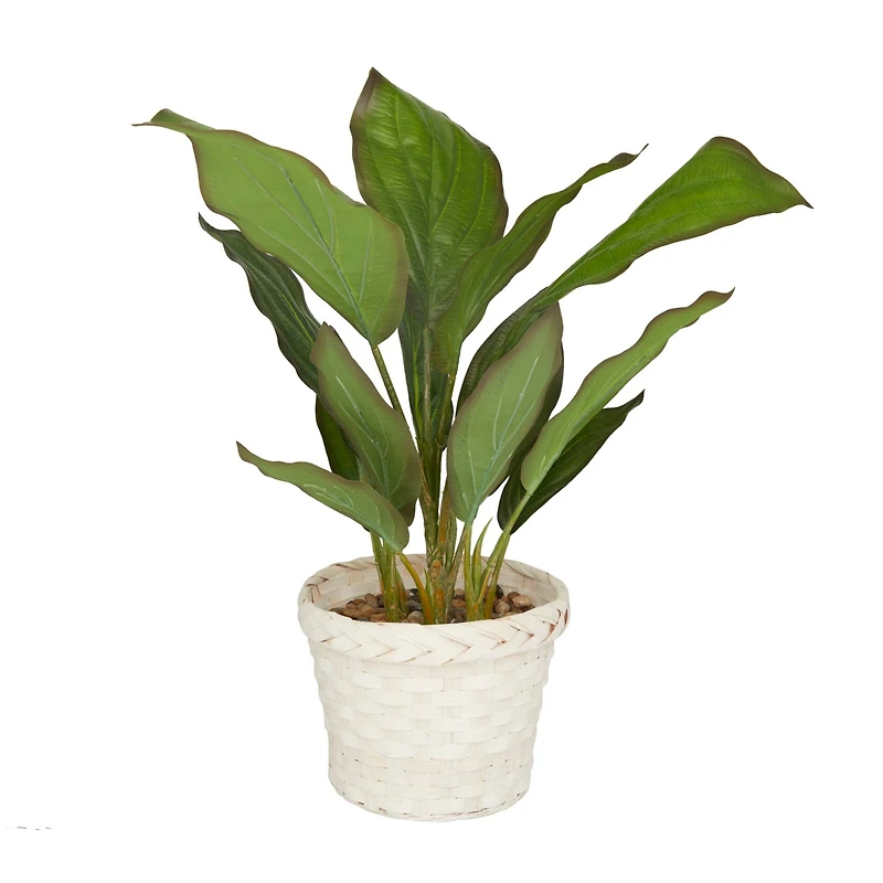 2ft. Coastal Style Artificial Foliage in White Bamboo Pot