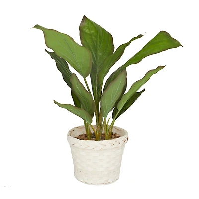 2ft. Coastal Style Artificial Foliage in White Bamboo Pot