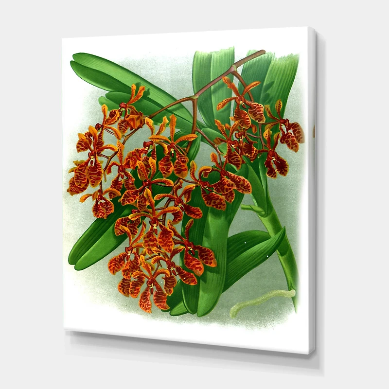 Designart - Retro Flowers II