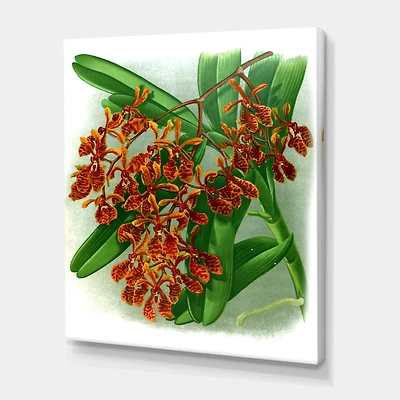 Designart - Retro Flowers II