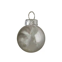 40ct. Shiny & Matte Silver Glass Ball Ornaments